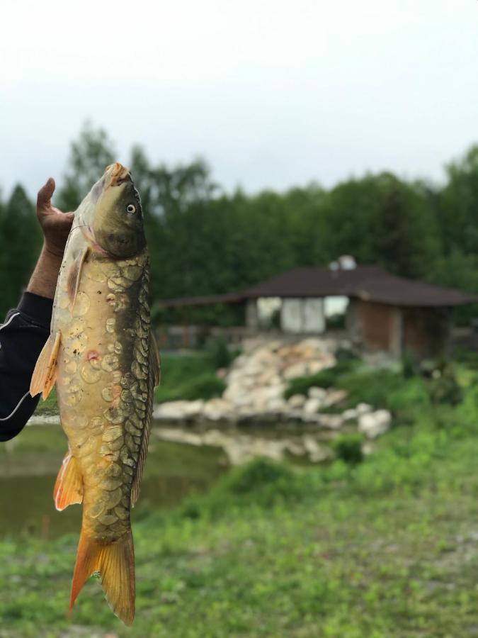 Диброва Dibrova  Bagian luar foto