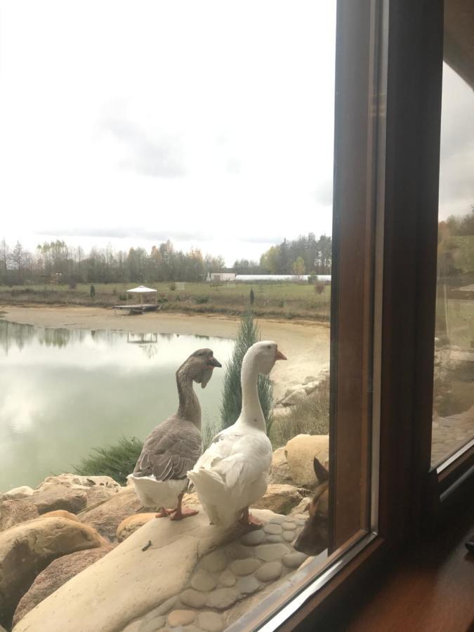Диброва Dibrova  Bagian luar foto