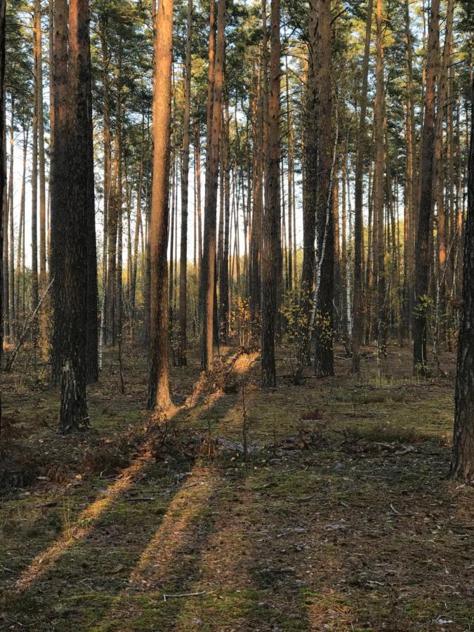 Диброва Dibrova  Bagian luar foto