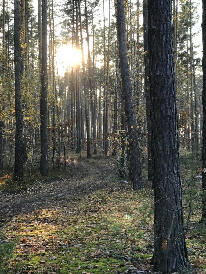Диброва Dibrova  Bagian luar foto
